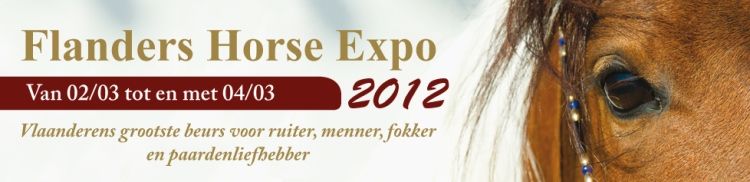 Over de flanders horse expot